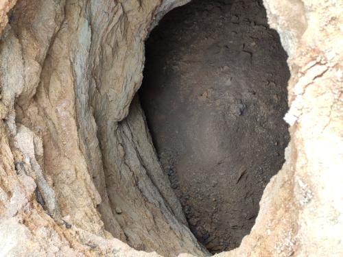 92923399_3390985330929695_5050589185967128576_o